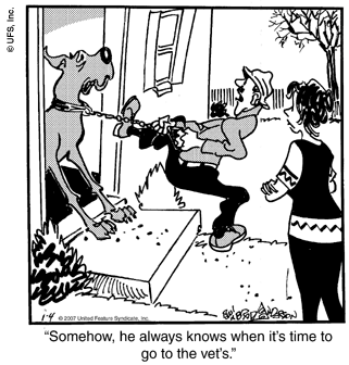 marmaduke